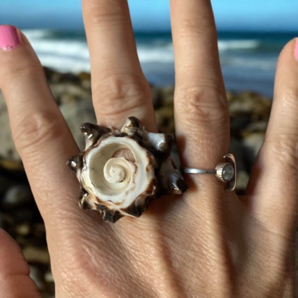 Unique spiral Crab shell rings! Sizes 6-9